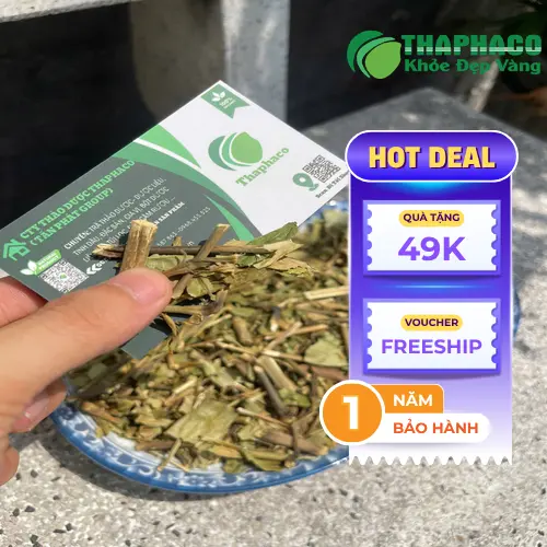 Pha trà Hoàn Ngọc khô đúng cách