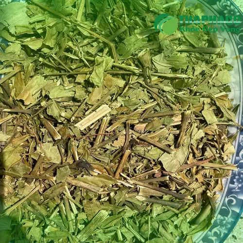 Quy trình phơi sấy lá Hoàn Ngọc khô tại THAPHACO