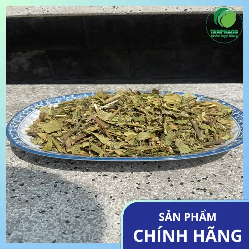 Lá Hoàn Ngọc khô bị mốc có đốm trắng hoặc thay đổi màu sắc