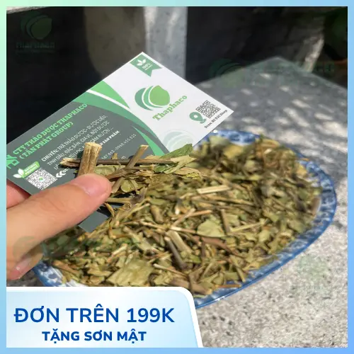 Công dụng của cây Hoàn Ngọc