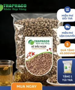 Mua Thương Nhĩ Tử Khô Ở Đâu Có Giá Tốt?