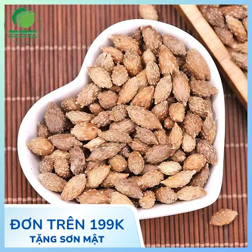Chất lượng Thương Nhĩ Tử khô được kiểm định tại THAPHACO