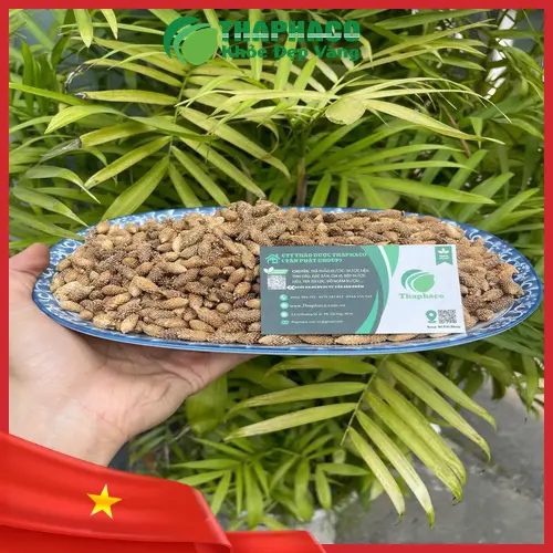 Địa chỉ mua Thương Nhĩ Tử khô uy tín tại TP.HCM