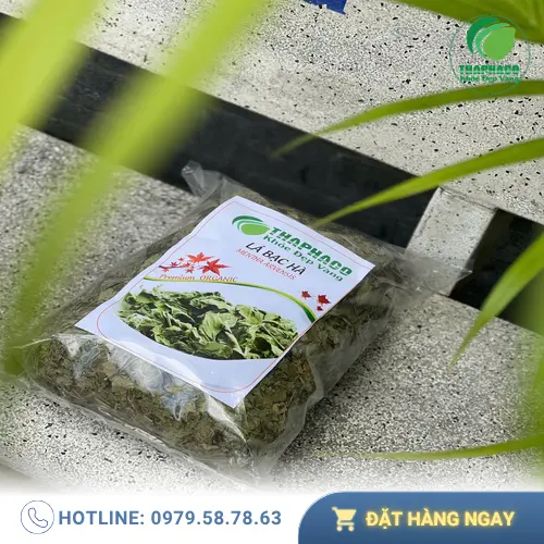 Cách pha trà bạc hà loãng cho trẻ em