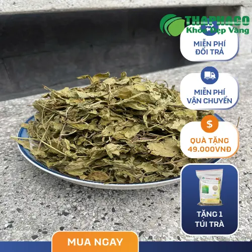 Cách pha trà bạc hà khô đúng cách