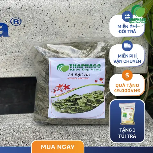 Pha trà bạc hà khô