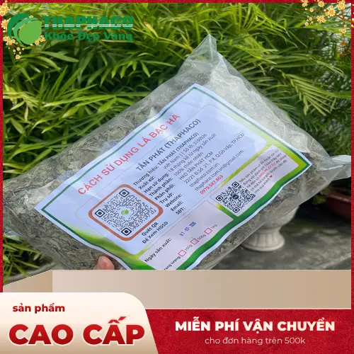 Quy trình đóng gói bạc hà khô tại THAPHACO đảm bảo vệ sinh