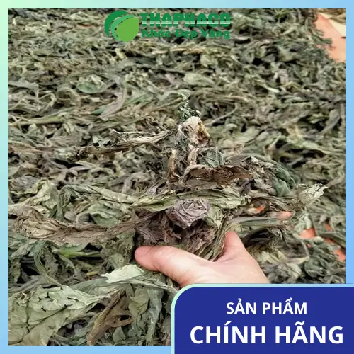 Lưu ý khi sử dụng lá khôi tía khô