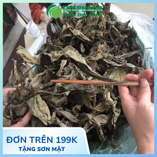 Các bước pha trà lá khôi tía đơn giản