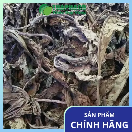 Lưu ý khi dùng Lá Khôi Tía