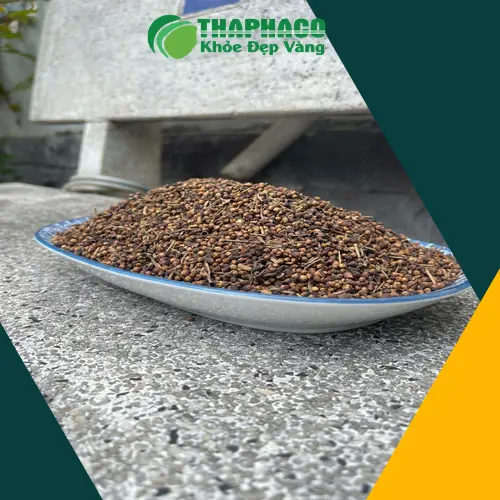 Quy trình chế biến Nụ Vối khô tại THAPHACO