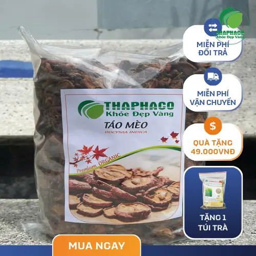 Hình ảnh cây táo mèo với quả chín mọng