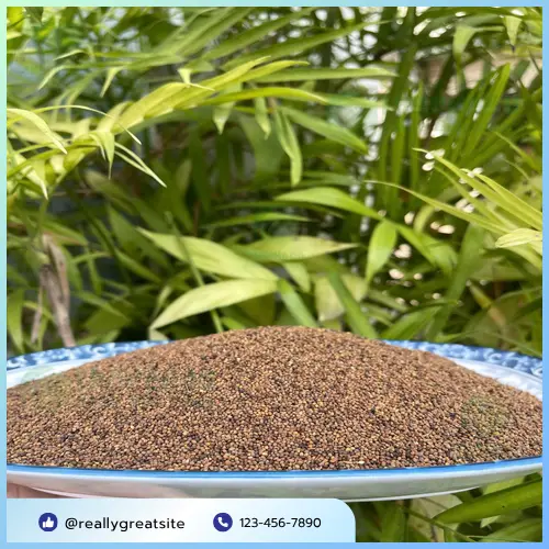 Tham vấn chuyên gia y tế trước khi dùng Thỏ Ty Tử