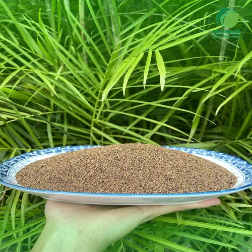 Thỏ Ty Tử sấy khô hạt mẩy, không tạp chất