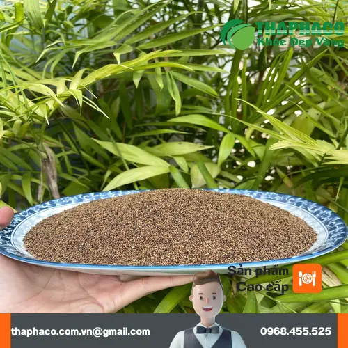 Đối tượng nên dùng và không nên dùng Thỏ Ty Tử