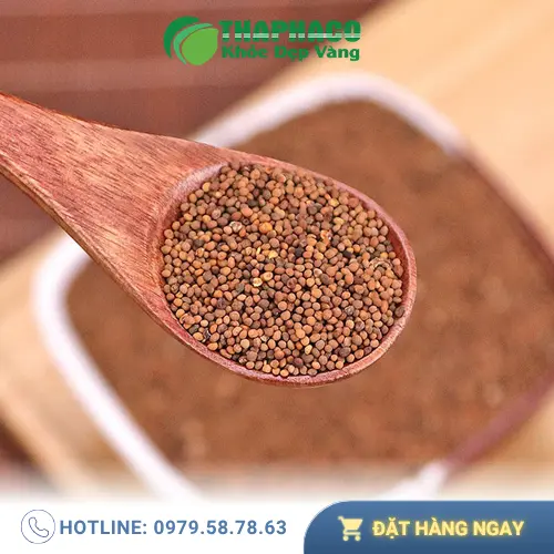 Mua Thỏ Ty Tử chất lượng tại THAPHACO