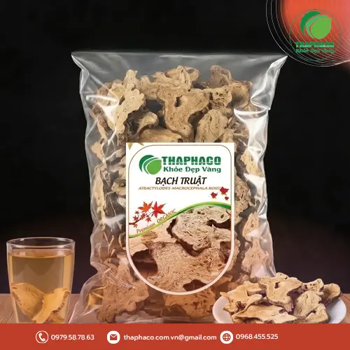 Bạch Truật - Vị thuốc quen thuộc trong Y học cổ truyền