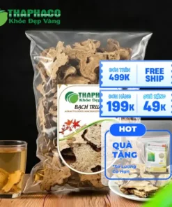 Địa Chỉ Bán Bạch Truật Khô Tại TP.HCM Chất Lượng, Uy Tín