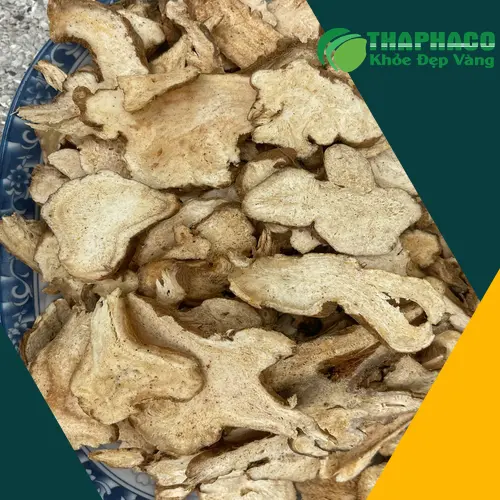 Lựa chọn Bạch Truật chất lượng và tham khảo ý kiến chuyên gia