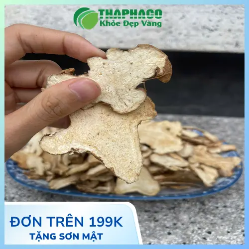 Bạch Truật chất lượng cao tại THAPHACO