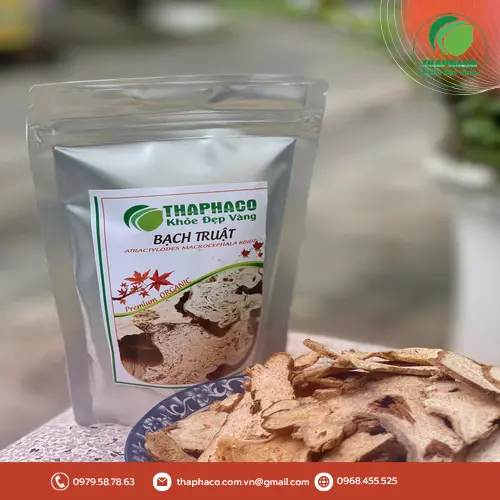 Bạch Truật khô THAPHACO được kiểm soát chất lượng chặt chẽ