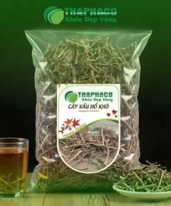 Địa Chỉ Bán Cây Xấu Hổ Khô Uy Tín Tại TP.HCM - THAPHACO