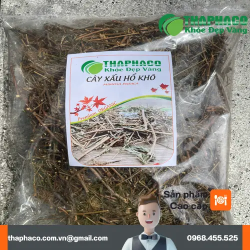 Hướng dẫn sử dụng cây xấu hổ khô đúng cách