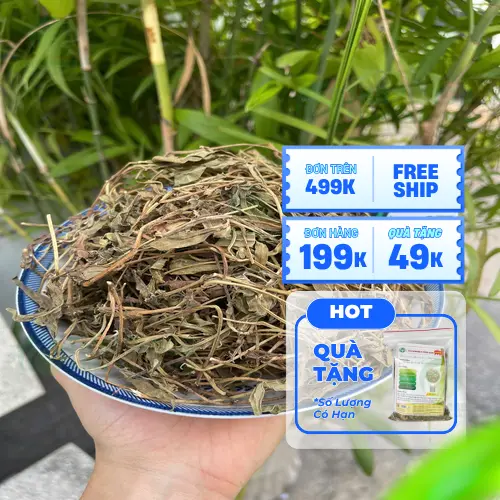 Sài đất khô chất lượng từ THAPHACO