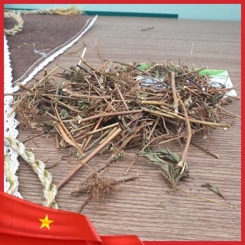 Thảo dược cây xấu hổ phơi khô