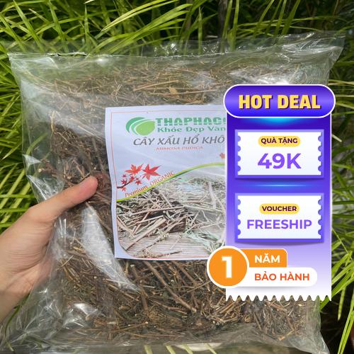 Chọn mua cây xấu hổ chất lượng cao