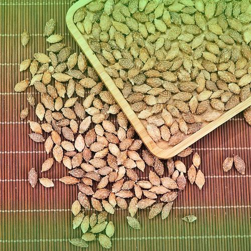 Tư vấn sử dụng thảo dược an toàn